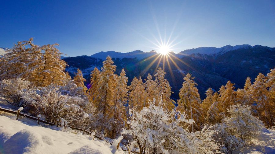 Winterstimmung mit Sonne bei Fiss